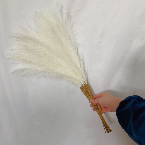 Fanno-20 sticks Natural Milky white Pampas Grass Bouquet-21.65" Fluffy Dried Pampas for Home Decor and Events