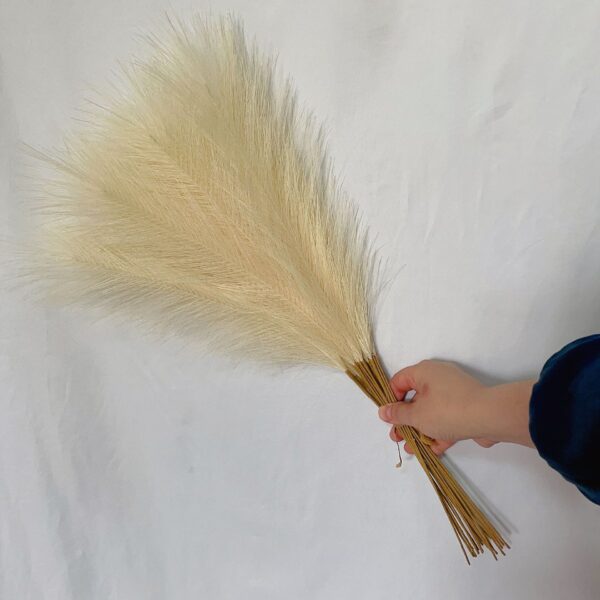 Fanno-20 sticks Natural Beige Pampas Grass Bouquet-21.65" Fluffy Dried Pampas for Home Decor and Events