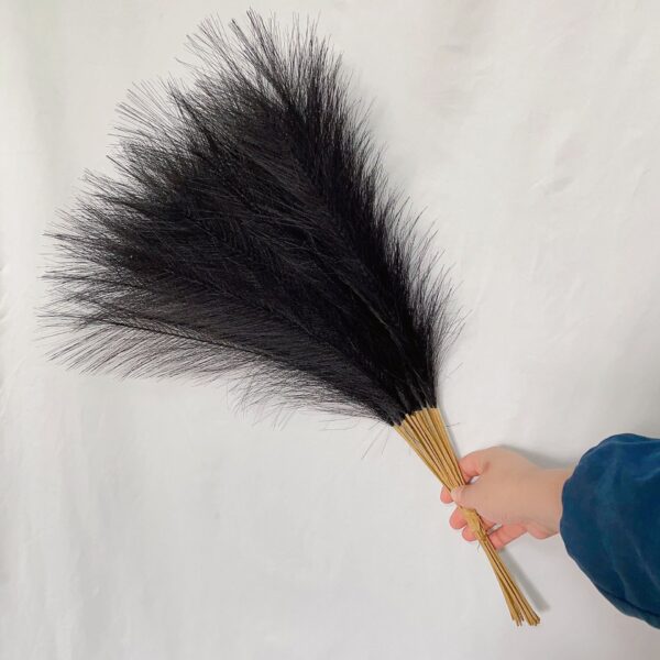 Fanno-20 sticks Natural Black Pampas Grass Bouquet-21.65" Fluffy Dried Pampas for Home Decor and Events