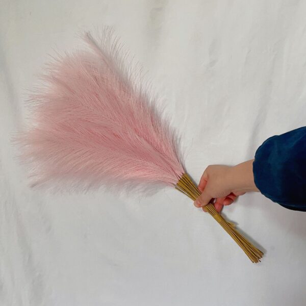 Fanno-20 sticks Natural Pink Pampas Grass Bouquet-21.65" Fluffy Dried Pampas for Home Decor and Events