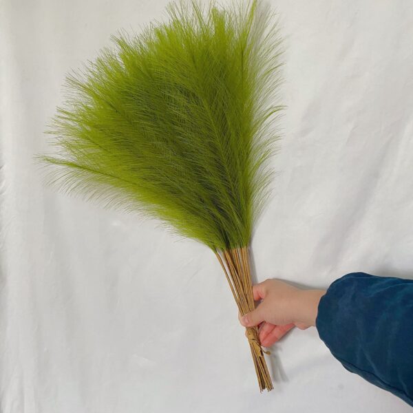 Fanno-20 sticks Grass Green Pampas Grass Bouquet-21.65" Fluffy Dried Pampas for Home Decor and Events