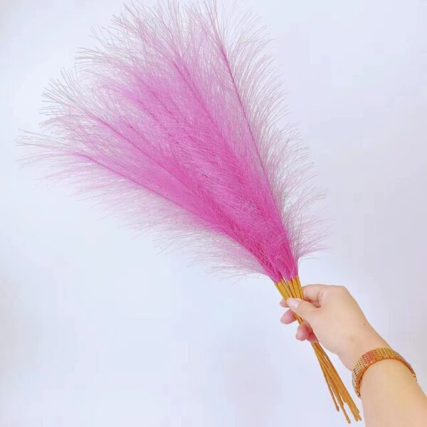 Fanno-20 sticks Rose red Pampas Grass Bouquet-21.65" Fluffy Dried Pampas for Home Decor and Events