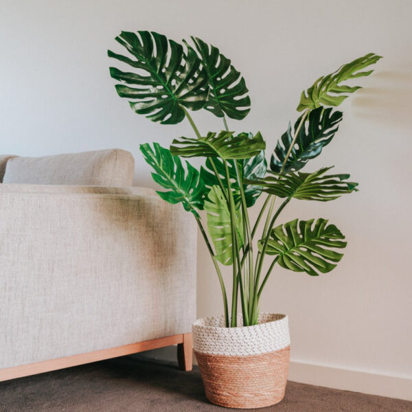 Fanno-Faux Monstera Plant 120cm Home Decor Potted Greenery Stylish Indoor