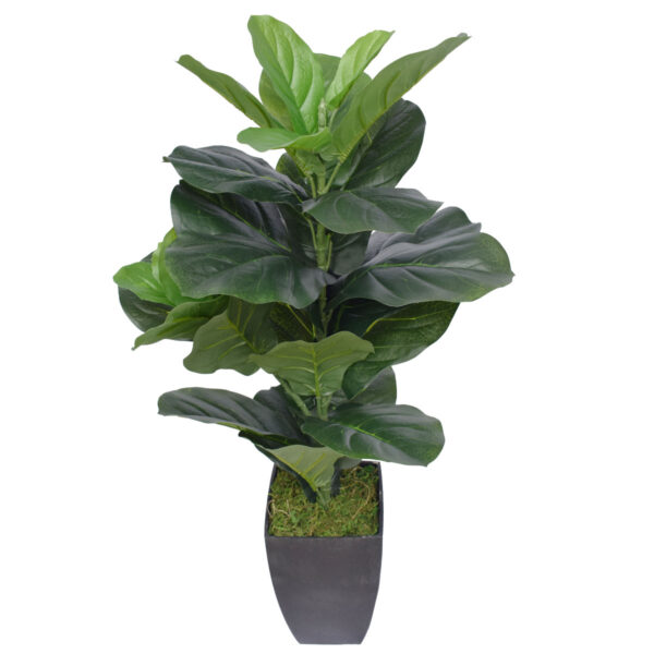 Fanno-Dense Fiddle Leaf Fig Tree 70cm Real Touch Faux Plant for Home Office Decor