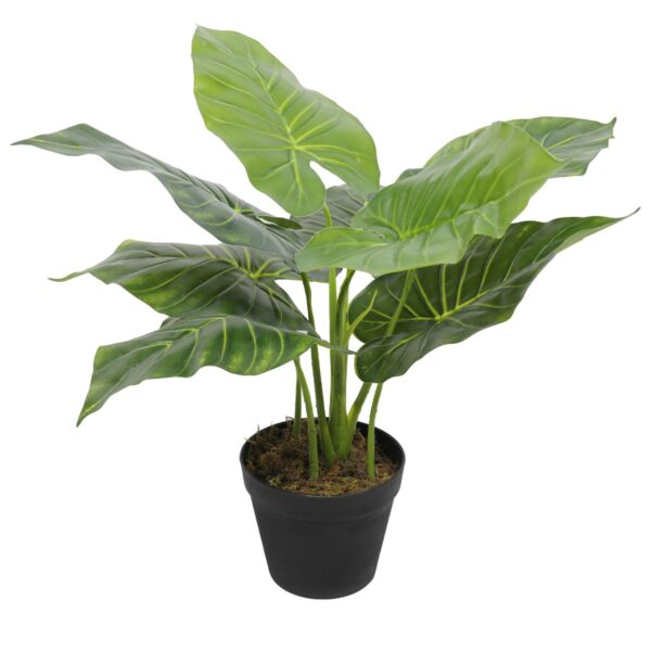 Fanno-Artificial Elephant Ear Plant 55cm Indoor Faux Taro Potted Decor Green Leaves