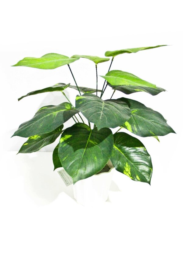 Fanno-Lily Stem 32cm for Bushy Compact Greenery Indoor Plant Decor