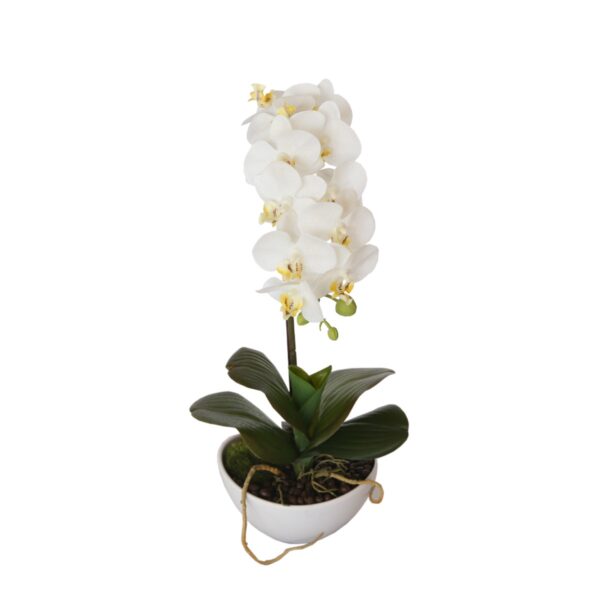 Fanno-Artificial Butterfly Orchid in Pot White Faux Plant for Home Office Decor