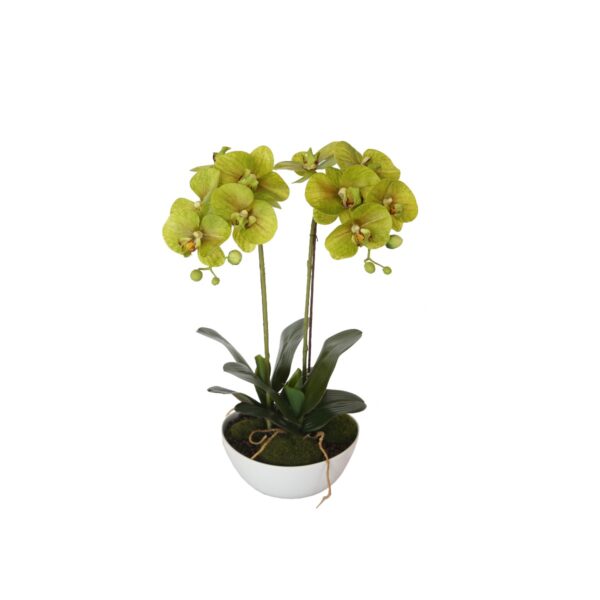 Fanno-Artificial Orchid in Pot 50cm Realistic Faux Plant for Home Decor and Office