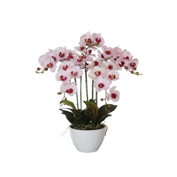 Fanno-Multi Stem Artificial Potted Butterfly Orchid for Home Decor and Interior Design