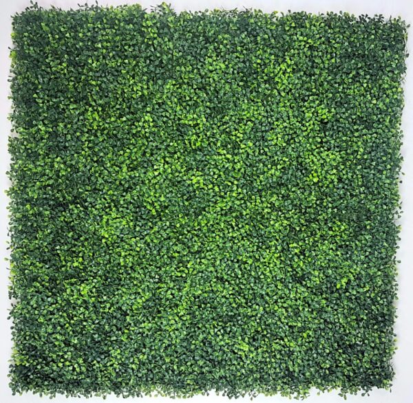 Fanno-Mixed Boxwood Hedge Panels UV Resistant 1m x 1m Easy Install Privacy Screen