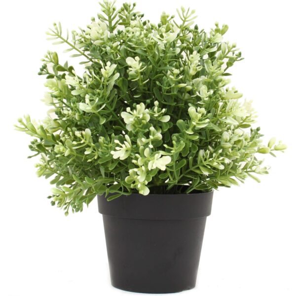 Fanno-Small Potted Artificial White Jade Plant Realistic Greenery Indoor Outdoor Decor