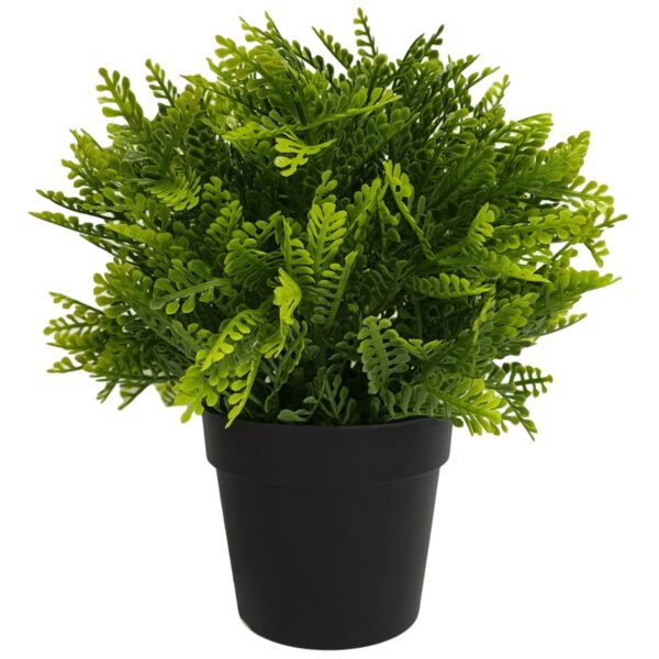 Fanno-Small Potted Artificial Mimosa Fern UV Resistant Indoor Outdoor 20cm Plant