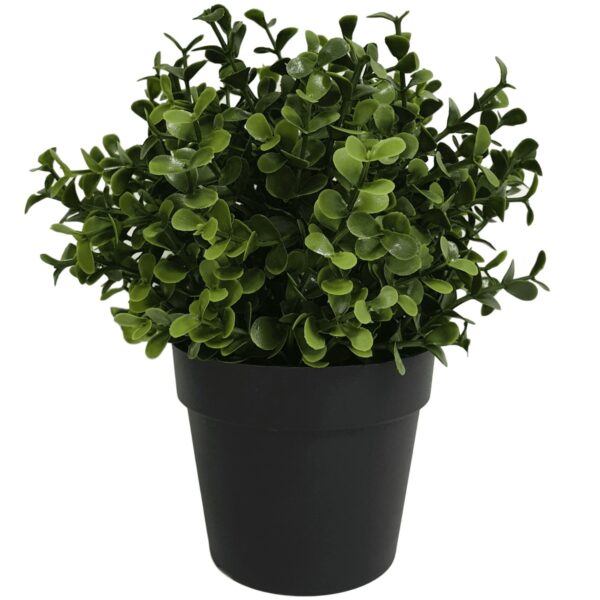 Fanno-Small Potted Artificial Buxus Plant UV Resistant Indoor Outdoor Topiary 20cm