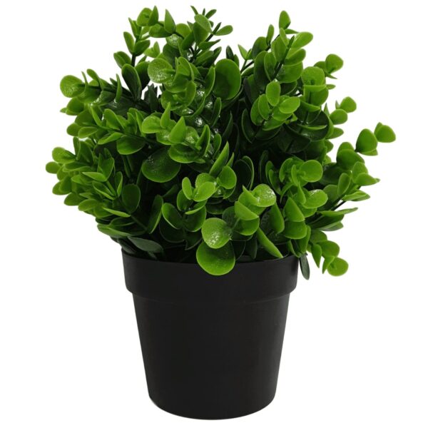 Fanno-Small Potted Artificial Peperomia Plant UV Resistant Indoor Outdoor 20cm