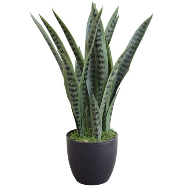 Fanno-Artificial Snake Plant UV Resistant 60cm Realistic Faux Plant for Indoor Outdoor Use