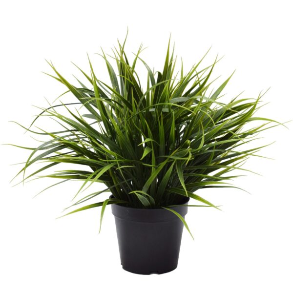 Fanno-Artificial Ornamental Potted Dense Green Grass 38cm Home Office Decor Plant